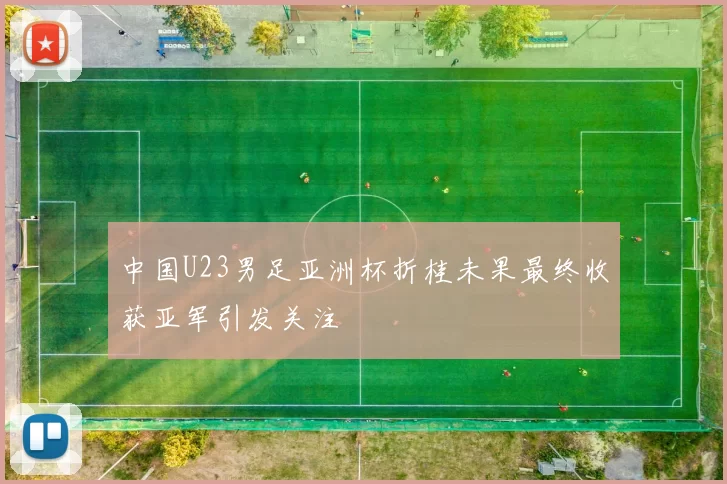中国U23男足亚洲杯折桂未果最终收获亚军引发关注